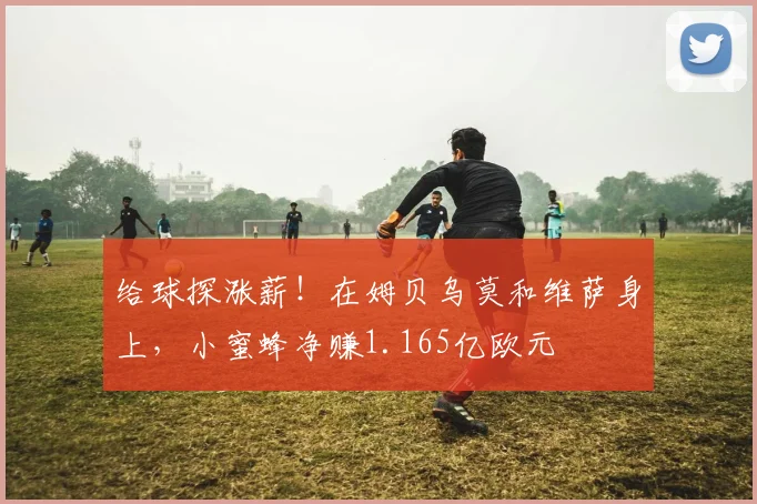 给球探涨薪！在姆贝乌莫和维萨身上，小蜜蜂净赚1.165亿欧元