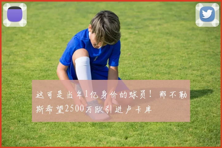 这可是当年1亿身价的球员！那不勒斯希望2500万欧引进卢卡库