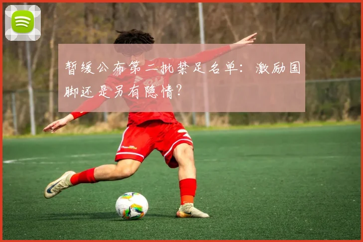 暂缓公布第二批禁足名单：激励国脚还是另有隐情？