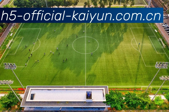 开云(kaiyun)体育服务体系
